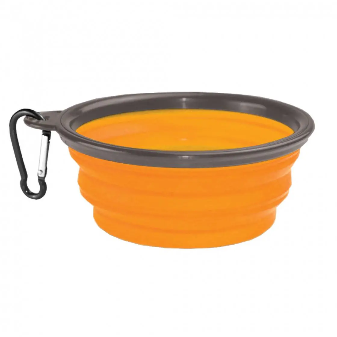 Collapsible Silicone Bowl 1