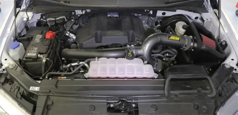 Aem 17-18 Ford F-150 3.5L V6 F/I Gunmetal Gray Cold Air Intake 2