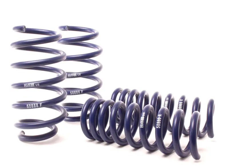 H&R 2009+ Dodge Charger/Challenger Rt/Srt8 V8 Sport Lowering Springs (W/O Nivomat) 1