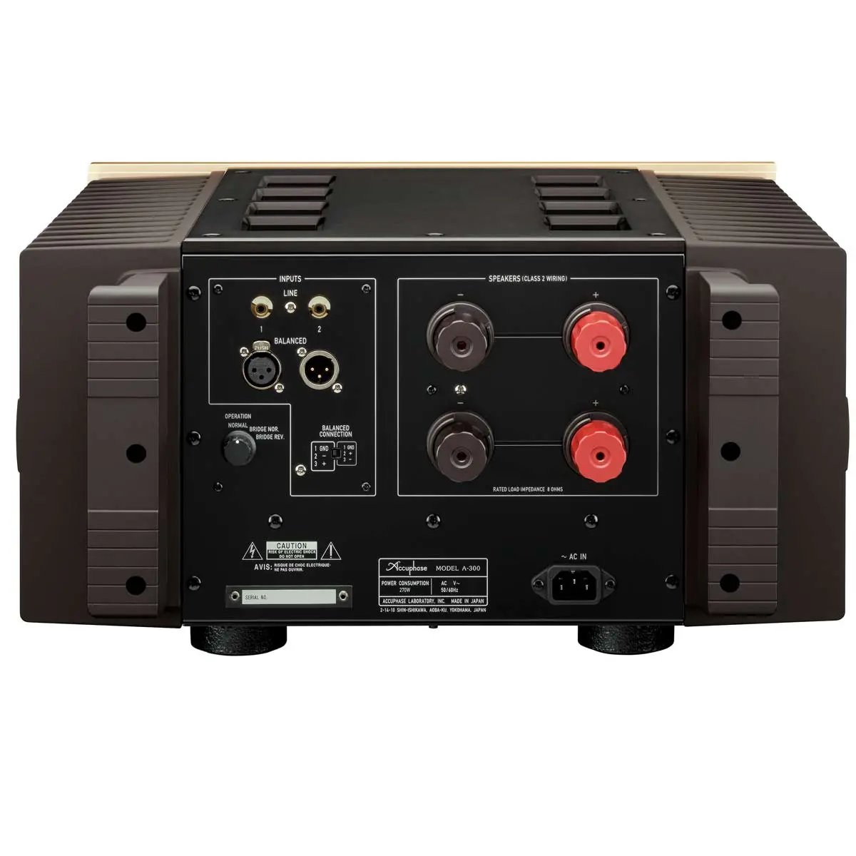 Accuphase A-300 Mono Power Amplifier 2