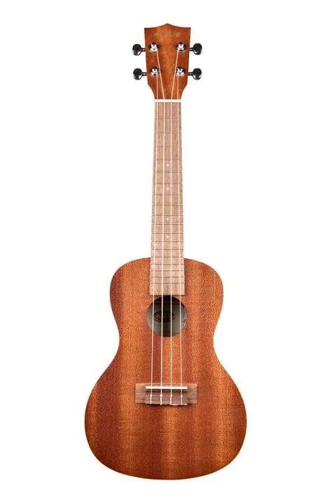 Kala Ka-C Satin Mahogany Concert Ukulele 1