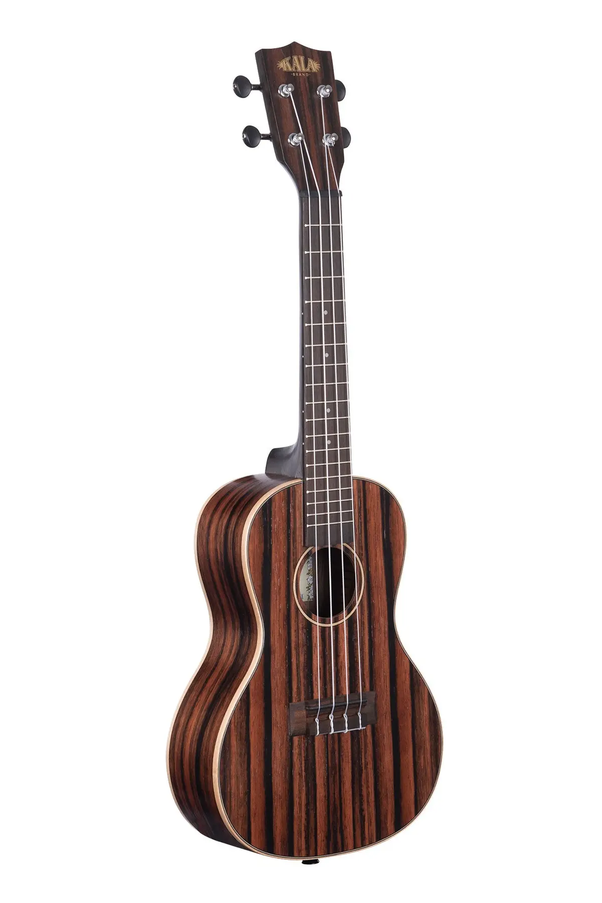 Kala Ka-Eby-C Concert Ukulele 1