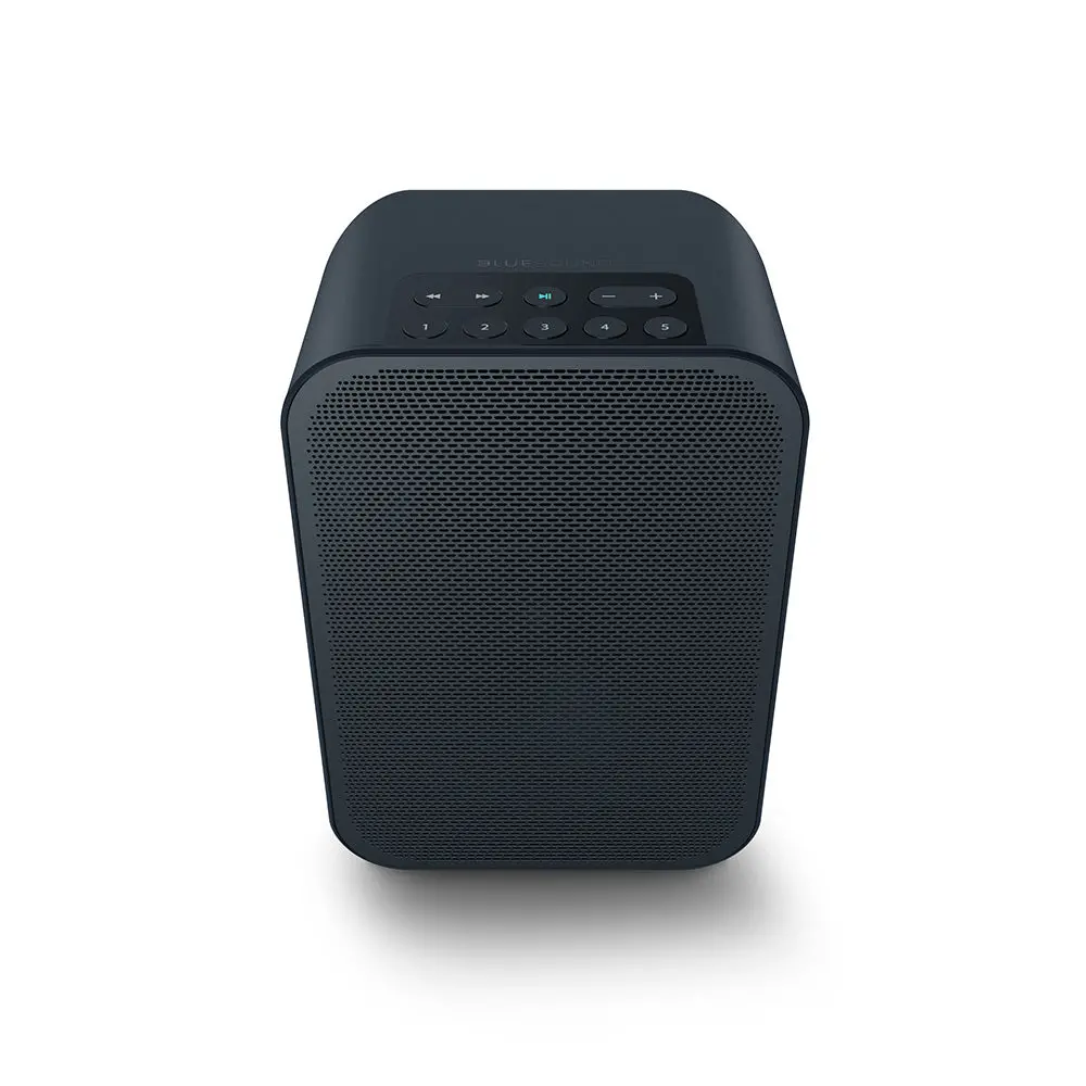 Bluesound Pulse Flex 2I Wireless Speaker 2