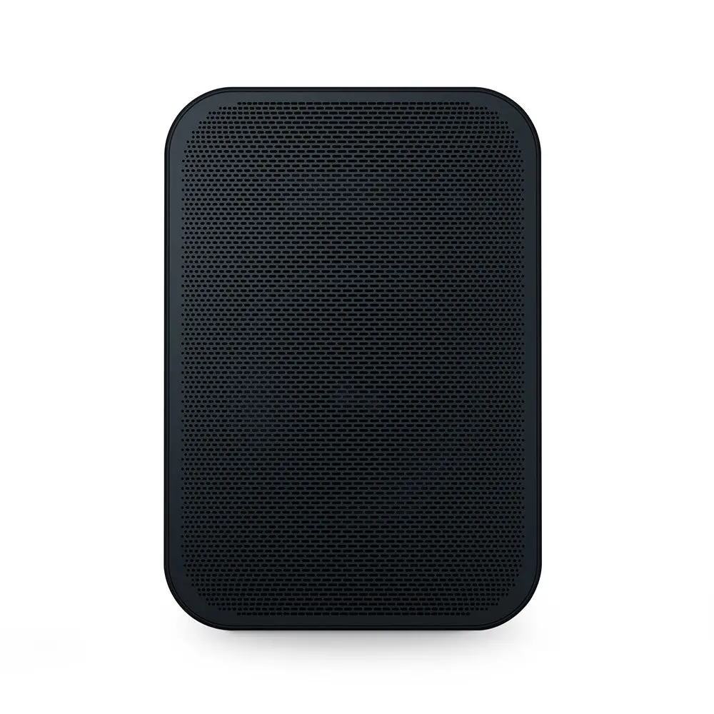 Bluesound Pulse Flex 2I Wireless Speaker 1