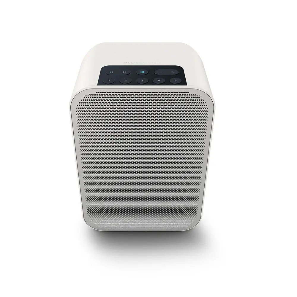 Bluesound Pulse Flex 2I Wireless Speaker 2