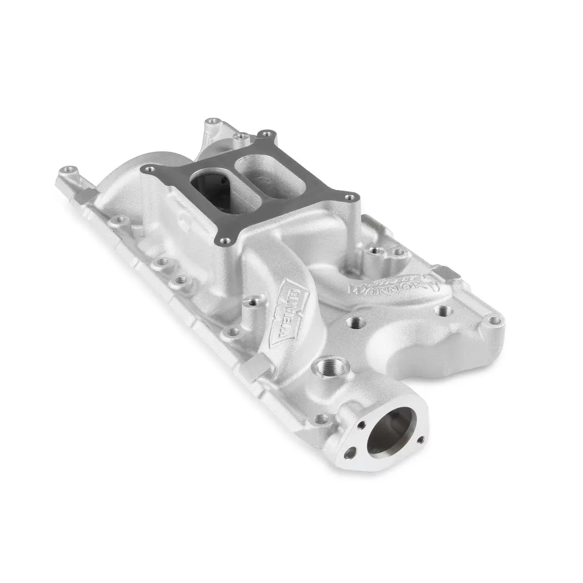 Street Warrior Intake Manifold 1