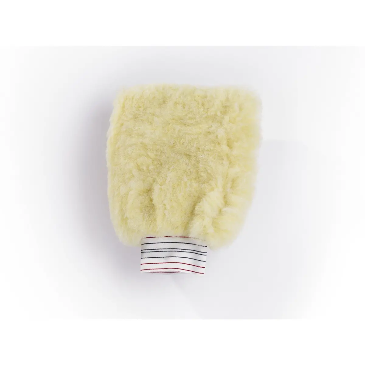 Techcare Wash Mitt 1
