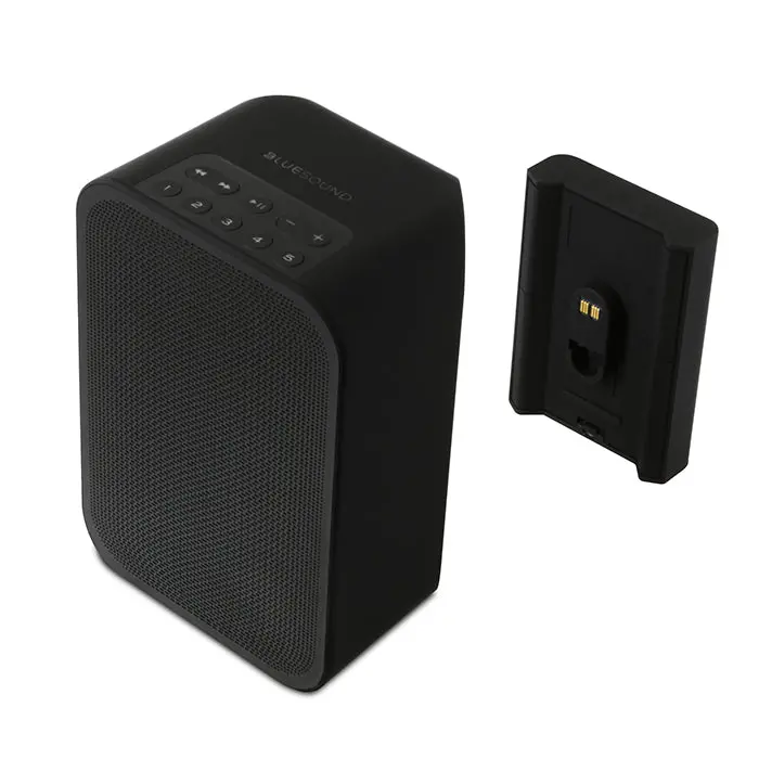 Bluesound Pulse Flex Battery Pack 1
