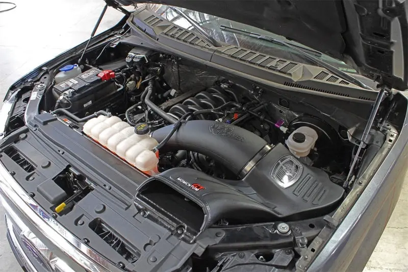 Afe Momentum Gt Pro Dry S Stage-2 Intake System 15-17 Ford F-150 V8 5.0L 2