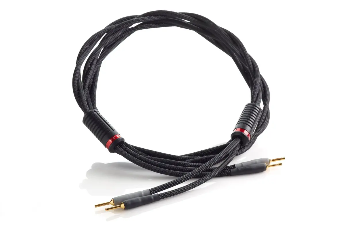 Shunyata Research Delta Speaker Cables 1