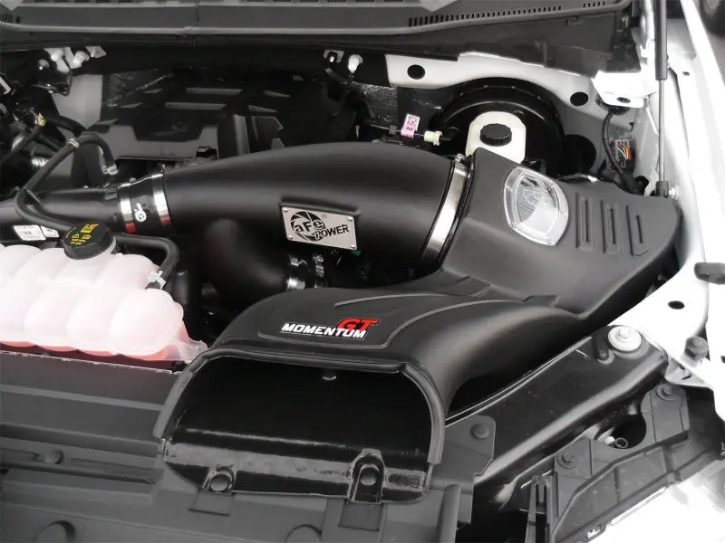 Afe Momentum Gt Pro Dry S Intake System 2016 Ford F-150 Ecoboost V6-2.7L/3.5L (Tt) 2