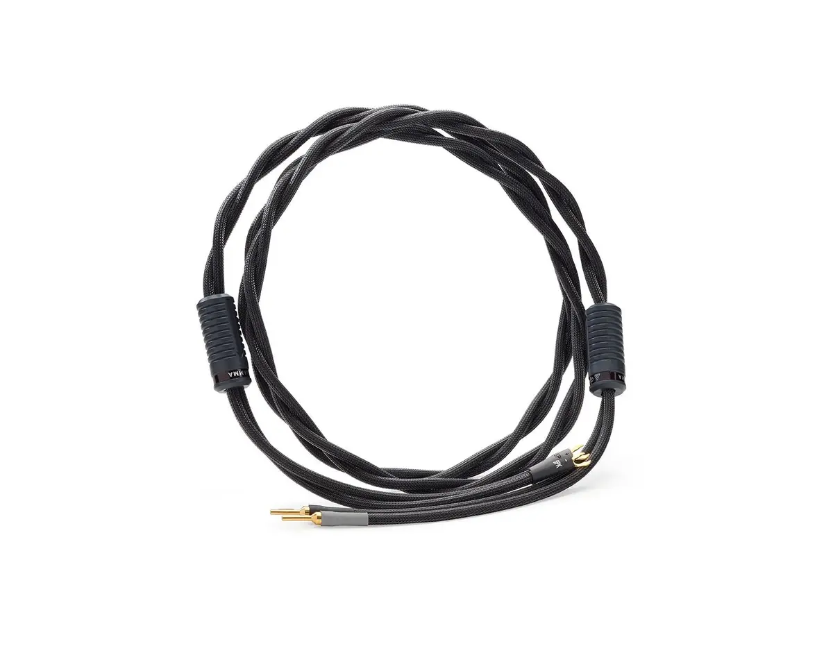 Shunyata Research Gamma Bi-Wire Speaker Cables 1