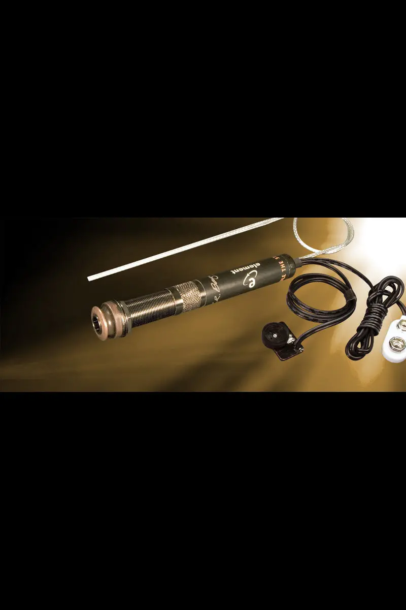 L.R. Baggs Element Active System 2