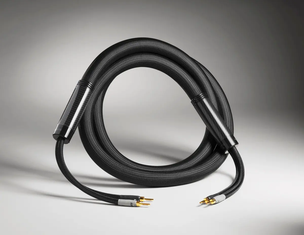 Shunyata Research Sigma-X Bi-Wire Speaker Cable – Enhanced Imaging And Depth 1