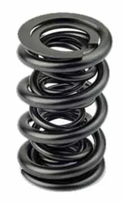 Afr 8022-16 High-Performance Replacement Valve Spring Kit 1